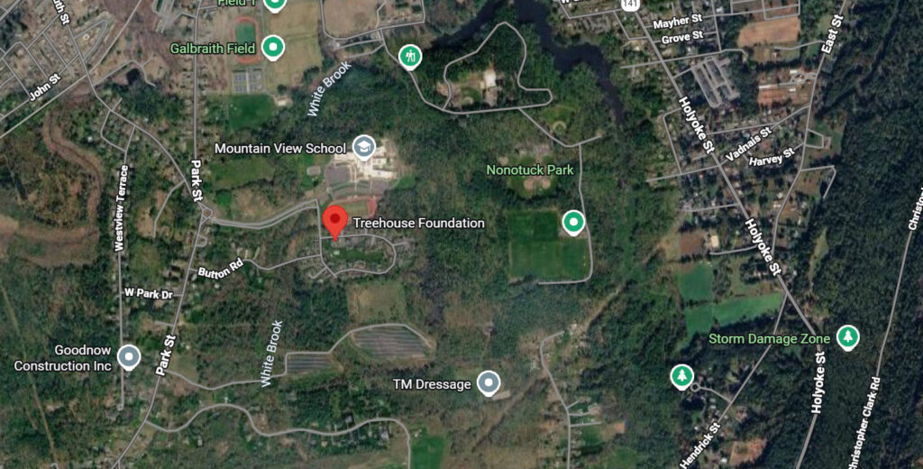 Treehouse Foundation